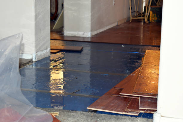 Professional Basement Flooding technician working in Croydon, UT